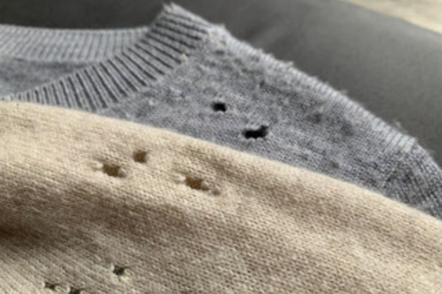 Two jumpers with clothes moths holes in them