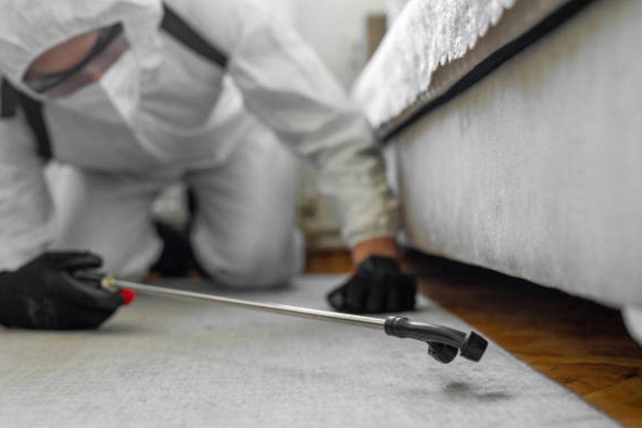 Professional pest controller spraying a floor with a fumigation treatment.