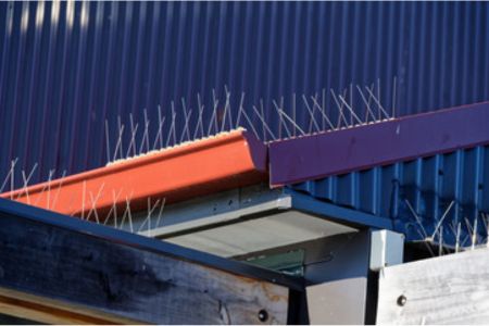 Bird proofing spikes along the ledges outside a building.