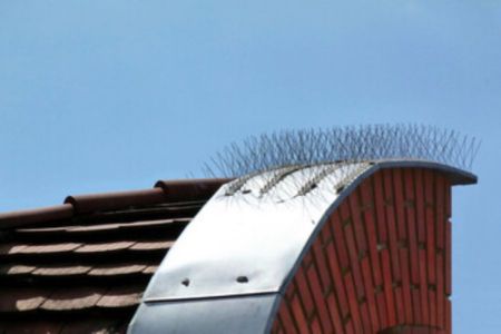 Bird proofing spikes along the top of a metal ledge on a roof.