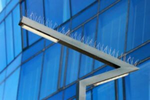 Bird proofing spikes along the top of a metal street light.