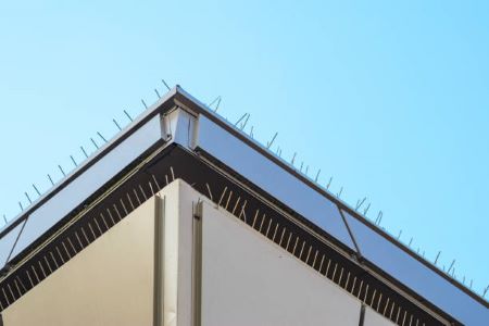 Bird proofing spikes along the top of a roof and inbetween a ledge below.