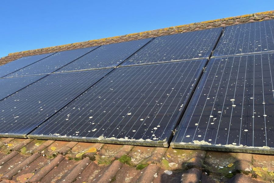 Bird guano on solar panels.